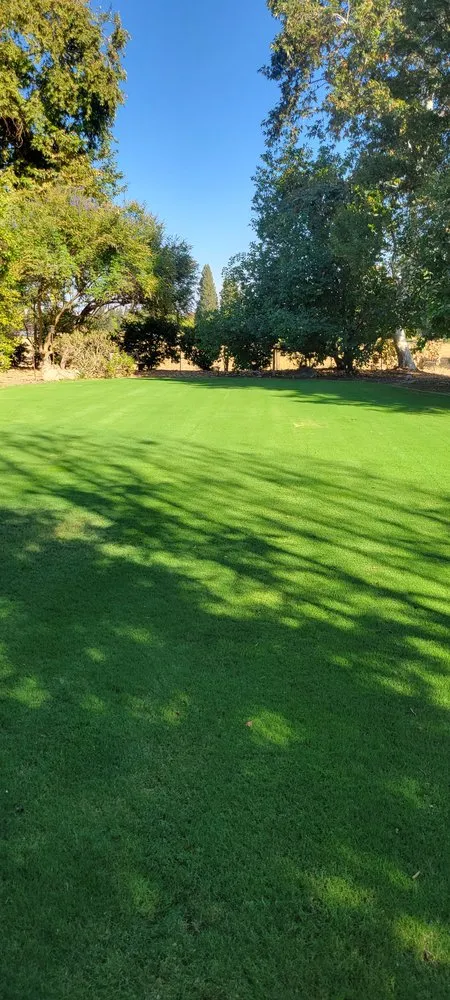 Expert landscaping services for homes across Fresno, CA - Lozano's Lawn Service