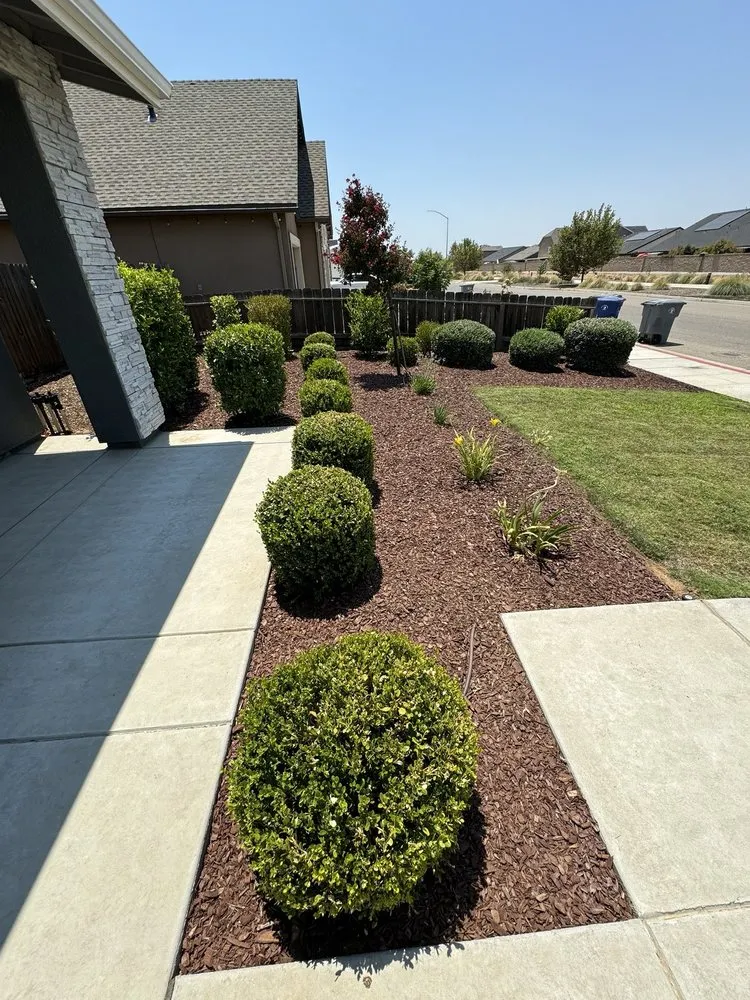 Custom residential landscaping in Fresno, CA by Lozano's Lawn Service