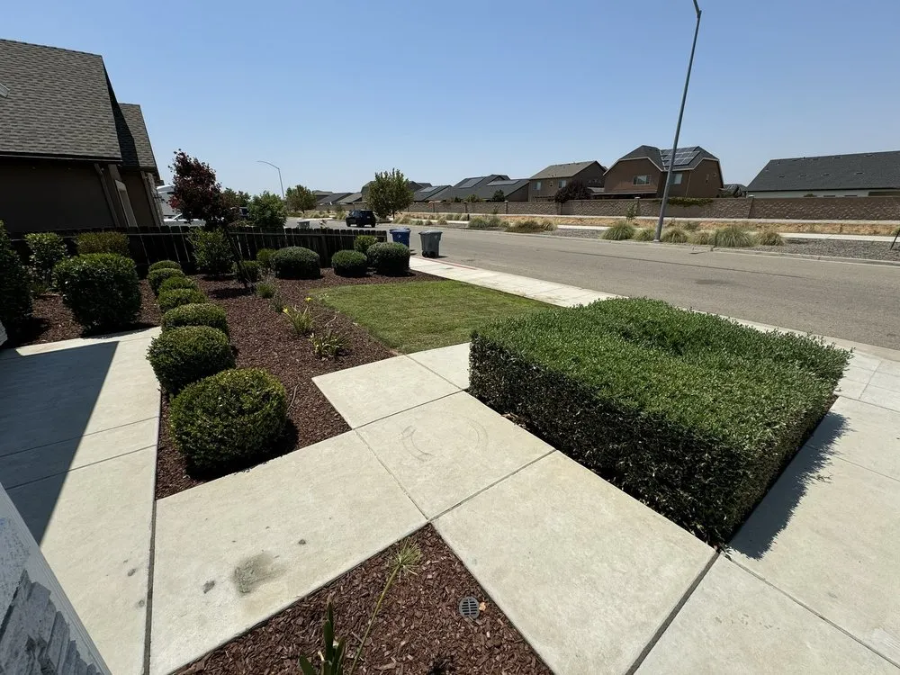 Expert yard maintenance experts serving Fresno, CA - Lozano's Lawn Service