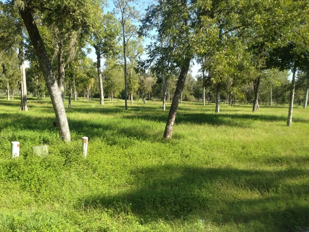 Expert lawn mowing service for outdoor upgrades in Richmond, TX by Lozano's Tractor Service