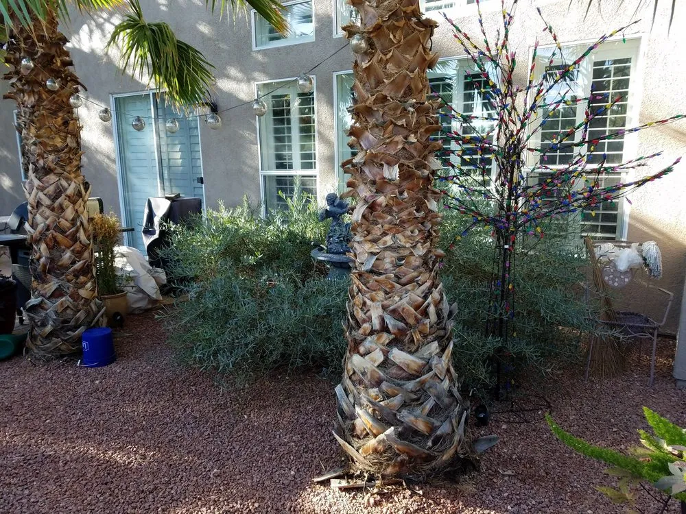Trusted garden landscaping for year-round maintenance across Las Vegas, NV - Lozoya Services
