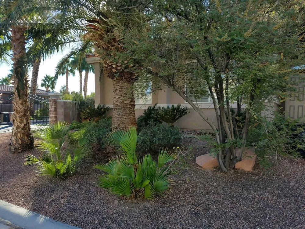 Custom lawn care service in Las Vegas, NV - Lozoya Services