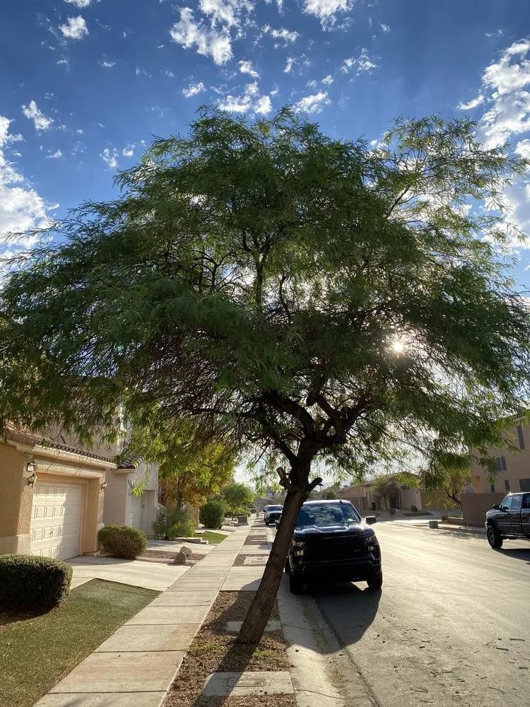 Trusted garden landscaping for beautiful yards in Las Vegas, NV by Lozoya Services