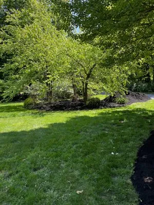 LP & Co Landscaping Logo