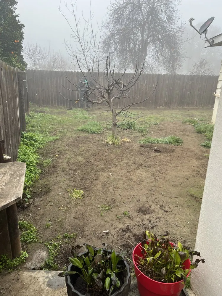 Affordable landscape installation for beautiful yards in Fresno, CA by Lp Irrigation and Landscape