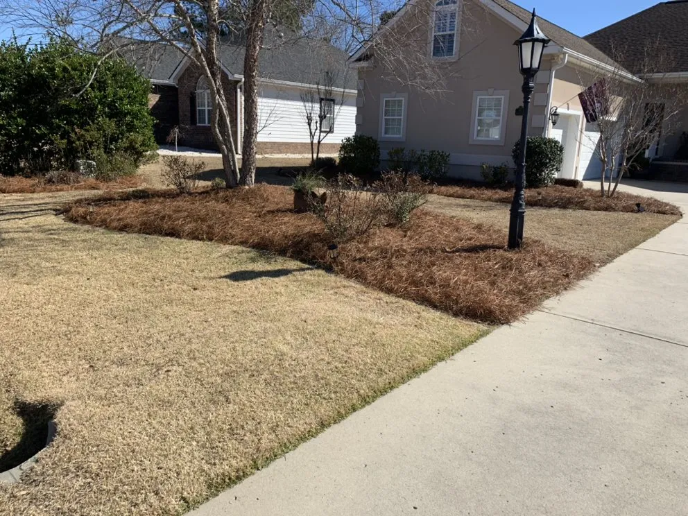 Local lawn care service in Leland, NC - LP Landscape & Pressure Washing
