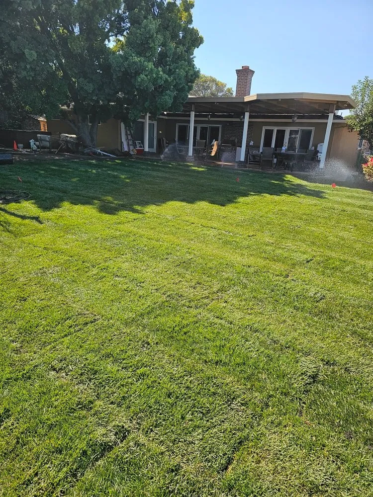 Reliable landscape design in San Mateo, CA by LP Landscaping and Garden Service