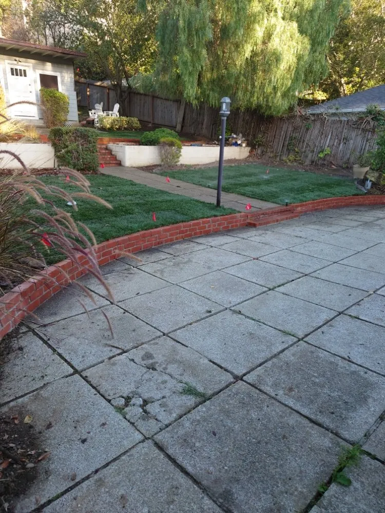 Trusted landscape design for beautiful yards across San Mateo, CA - LP Landscaping and Garden Service