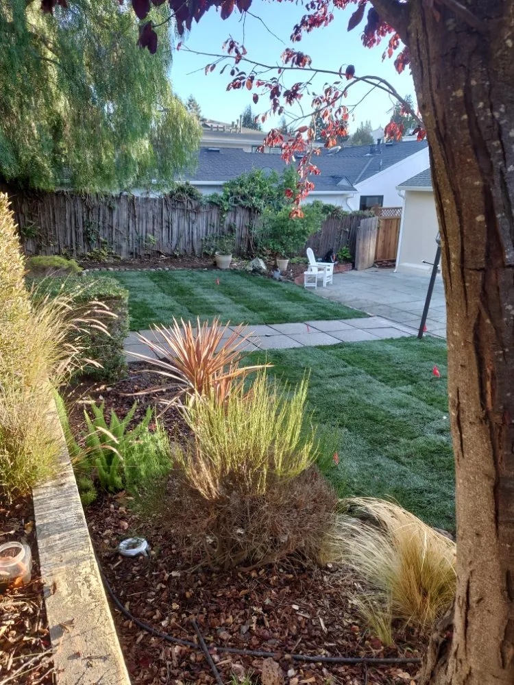 Expert landscaping services for residential properties across San Mateo, CA - LP Landscaping and Garden Service