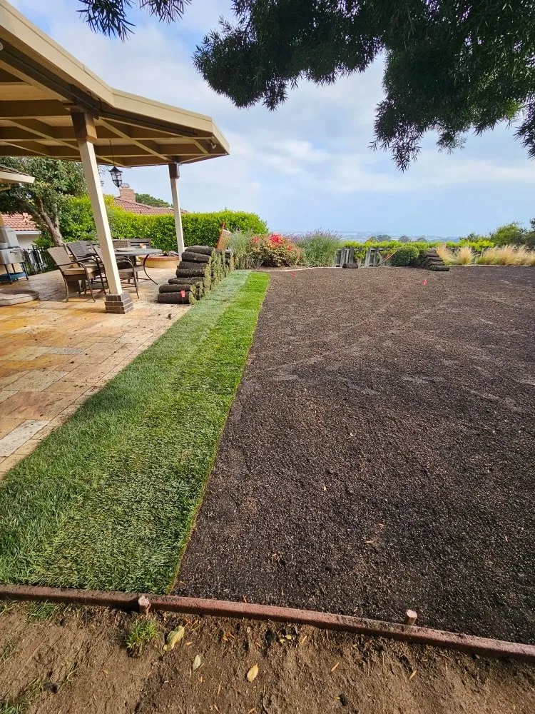 Trusted garden landscaping in San Mateo, CA by LP Landscaping and Garden Service