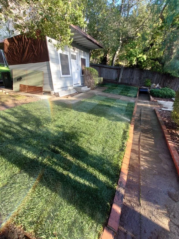 Top-rated yard cleanup service in San Mateo, CA - LP Landscaping and Garden Service