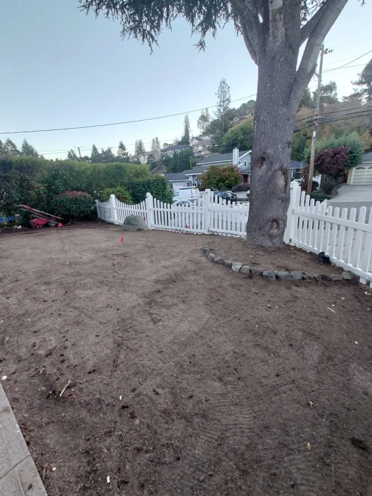 Reliable lawn mowing service for homes across San Mateo, CA - LP Landscaping and Garden Service