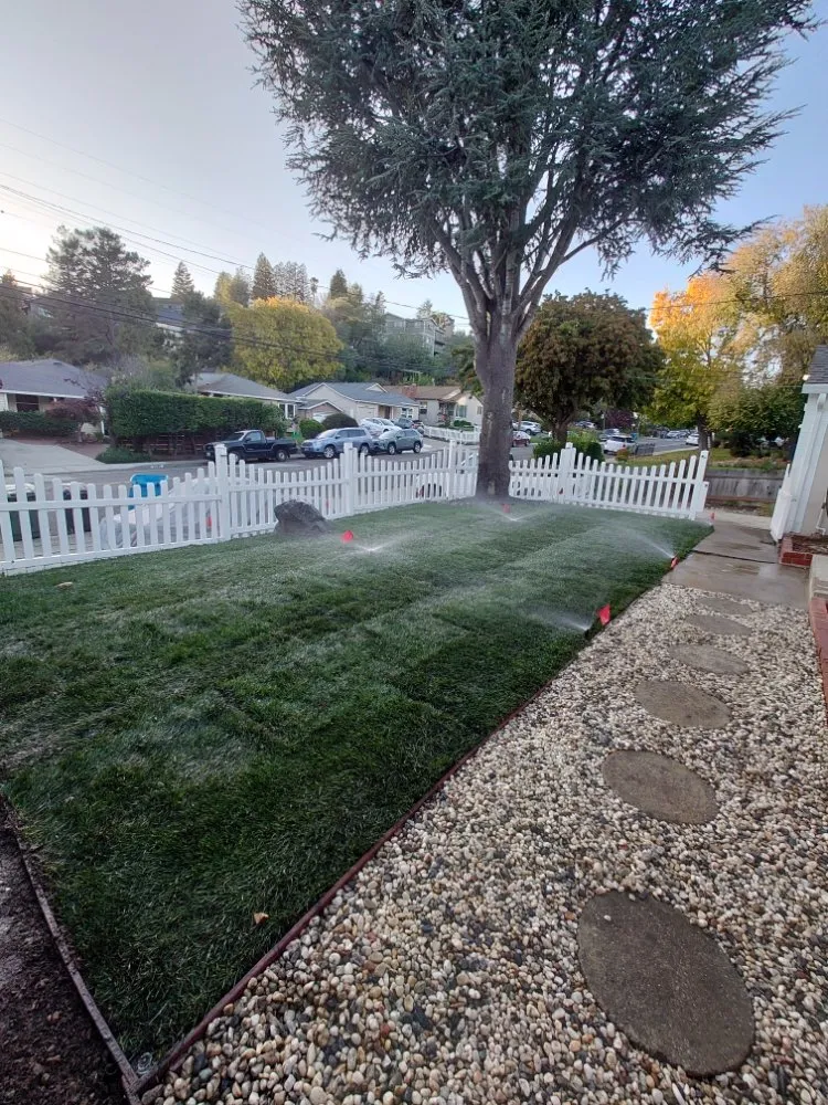Custom landscape design in San Mateo, CA - LP Landscaping and Garden Service