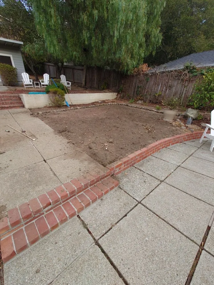 Reliable landscaping services experts serving San Mateo, CA - LP Landscaping and Garden Service