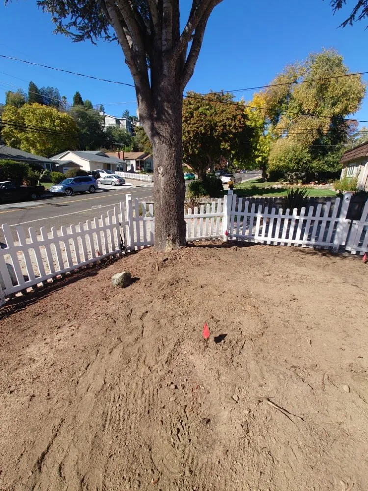 Professional landscape installation in San Mateo, CA by LP Landscaping and Garden Service