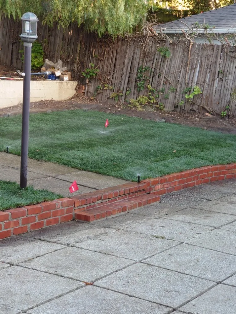 Expert yard maintenance for outdoor upgrades across San Mateo, CA - LP Landscaping and Garden Service