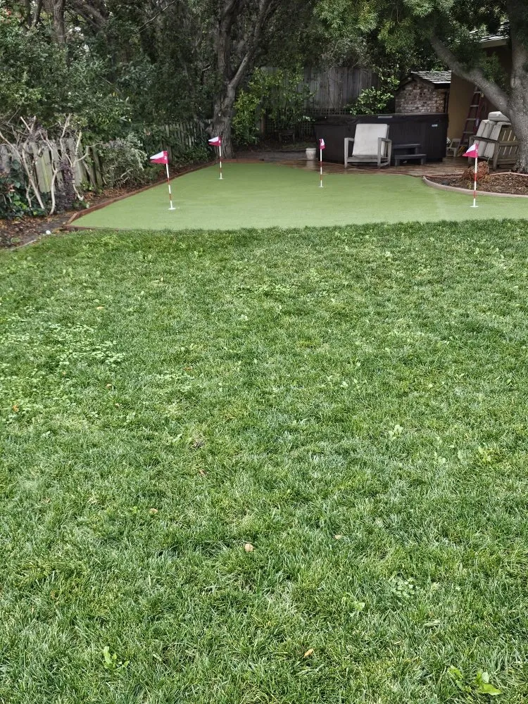 Trusted yard maintenance for residential properties in San Mateo, CA by LP Landscaping and Garden Service