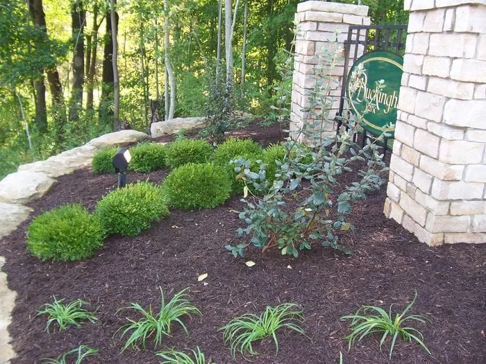 Local landscaping services for outdoor upgrades in Tacoma, WA by LP Landscaping
