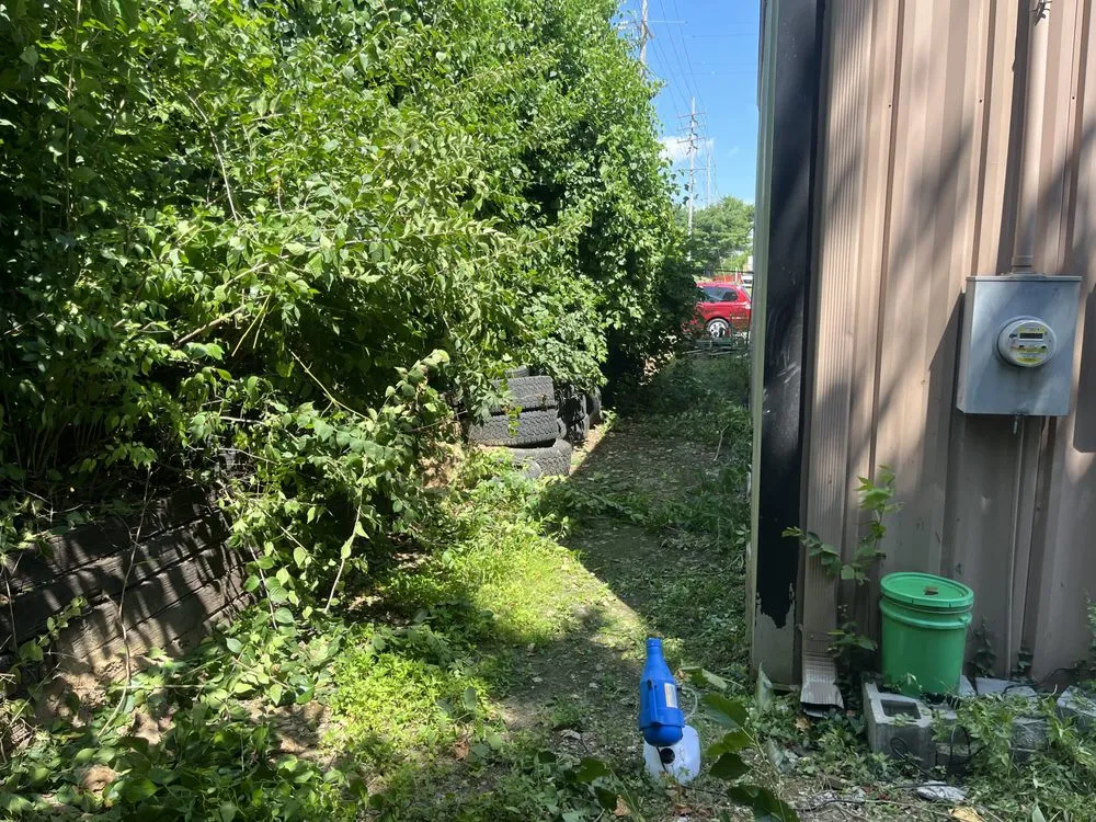 Professional landscape design for residential properties in Wentzville, MO by L&P Lawn Service