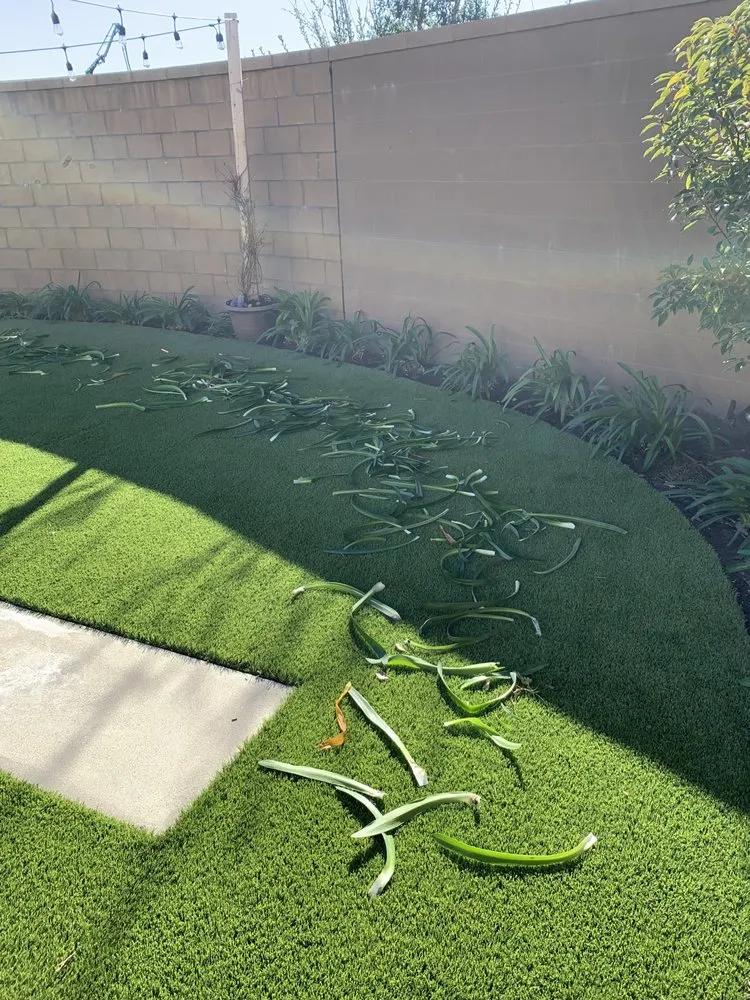 Local lawn mowing service experts serving Santa Ana, CA - LP Mowing & Landscaping
