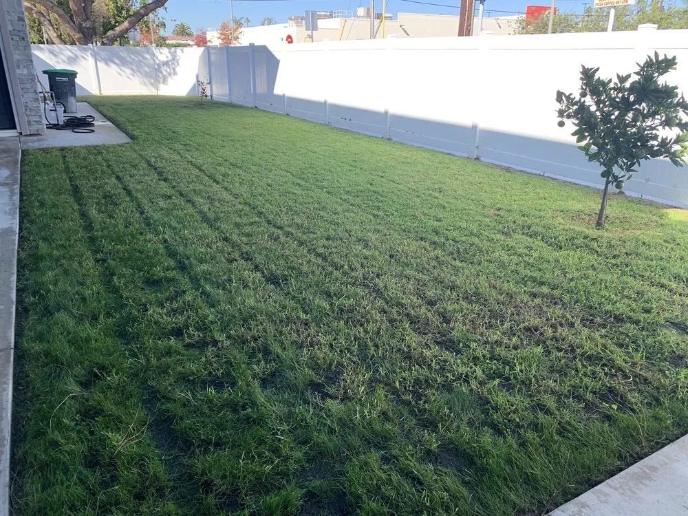Expert lawn care service with custom design in Santa Ana, CA by LP Mowing & Landscaping