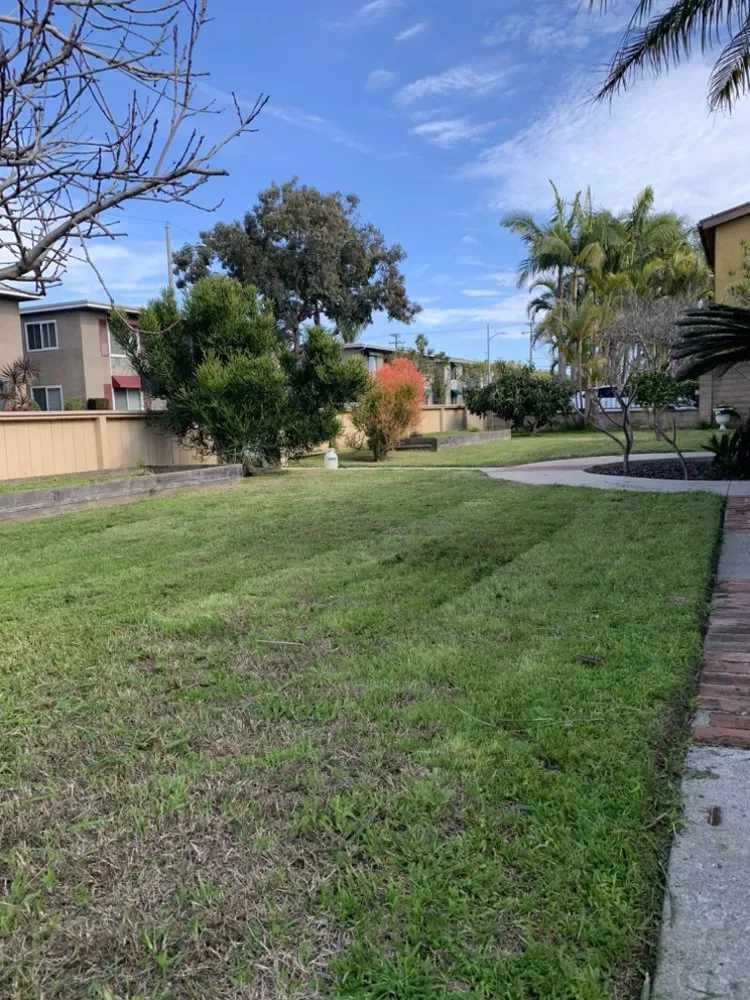 Custom lawn care service for year-round maintenance across Santa Ana, CA - LP Mowing & Landscaping