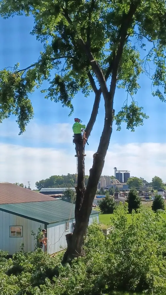 Affordable landscape design in Athens, WI by LP Outdoor Services