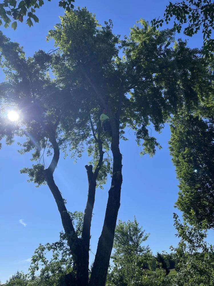 Custom garden landscaping in Athens, WI - LP Outdoor Services