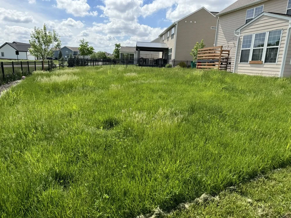 Custom lawn care service for beautiful yards across Lebanon, IN - LP Pressure Washing