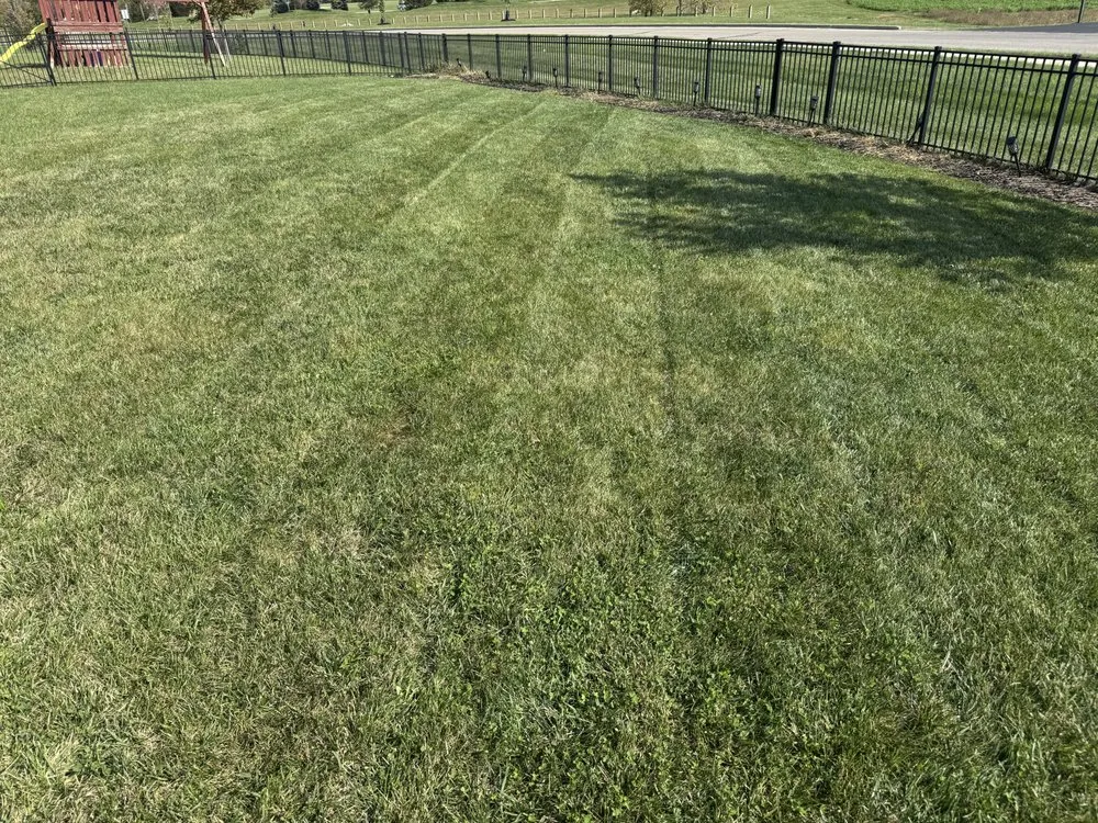 Top-rated yard maintenance in Lebanon, IN by LP Pressure Washing