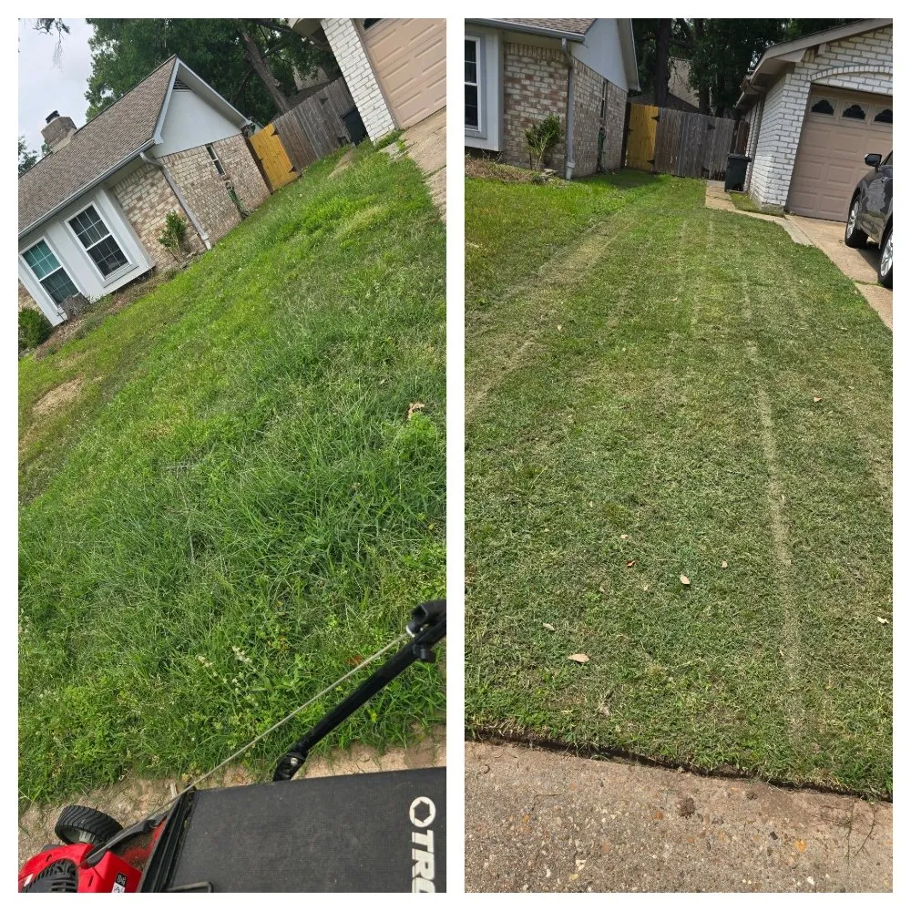 Local landscape design in Tomball, TX by L&P