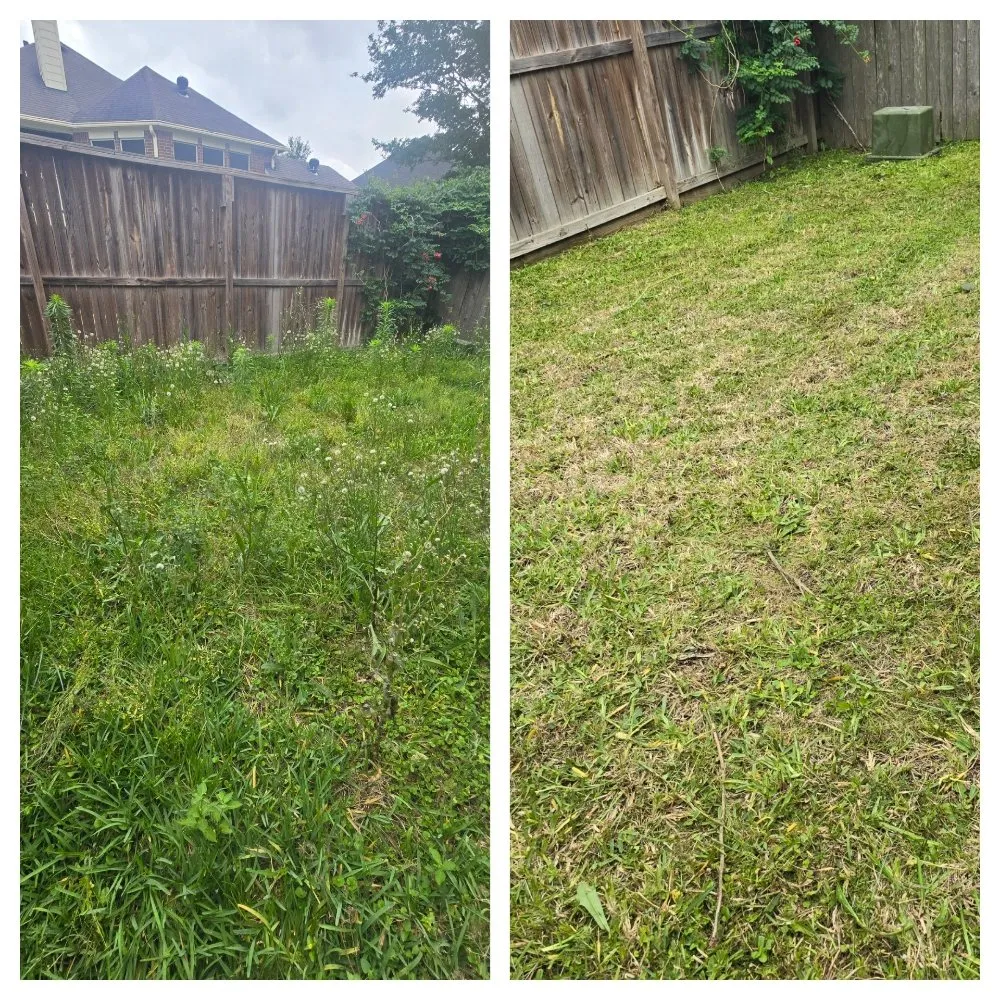 Custom yard cleanup service in Tomball, TX by L&P