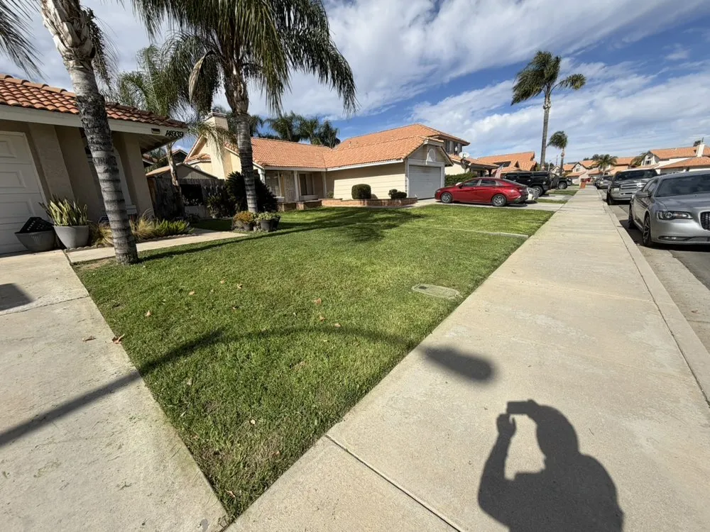 Professional landscape design in Riverside, CA - L&P Tree Service