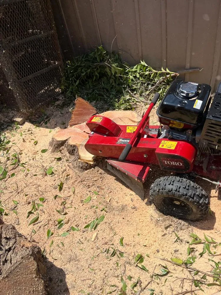 Trusted residential landscaping in Riverside, CA - L&P Tree Service