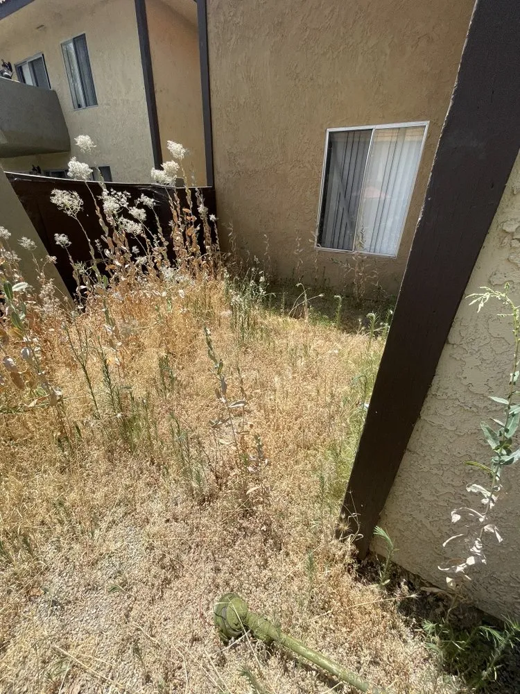 Top-rated residential landscaping in Riverside, CA - L&P Tree Service