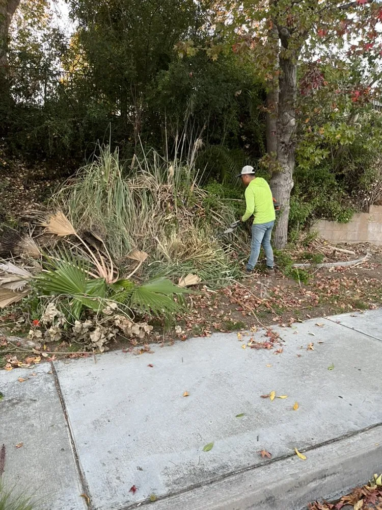 Professional landscaping services with custom design in Riverside, CA by L&P Tree Service
