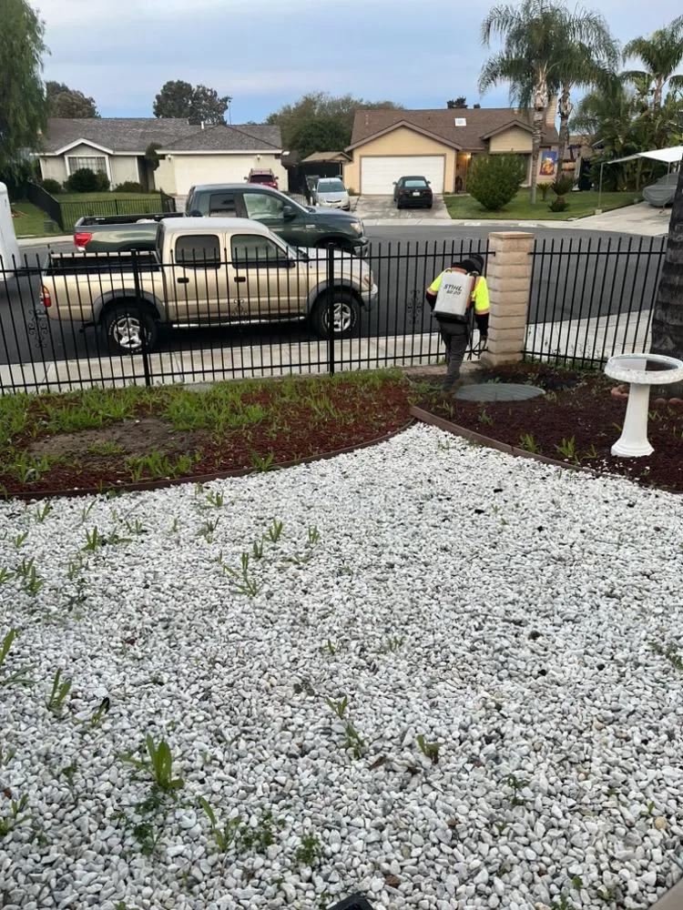 Professional landscaping services in Riverside, CA - L&P Tree Service