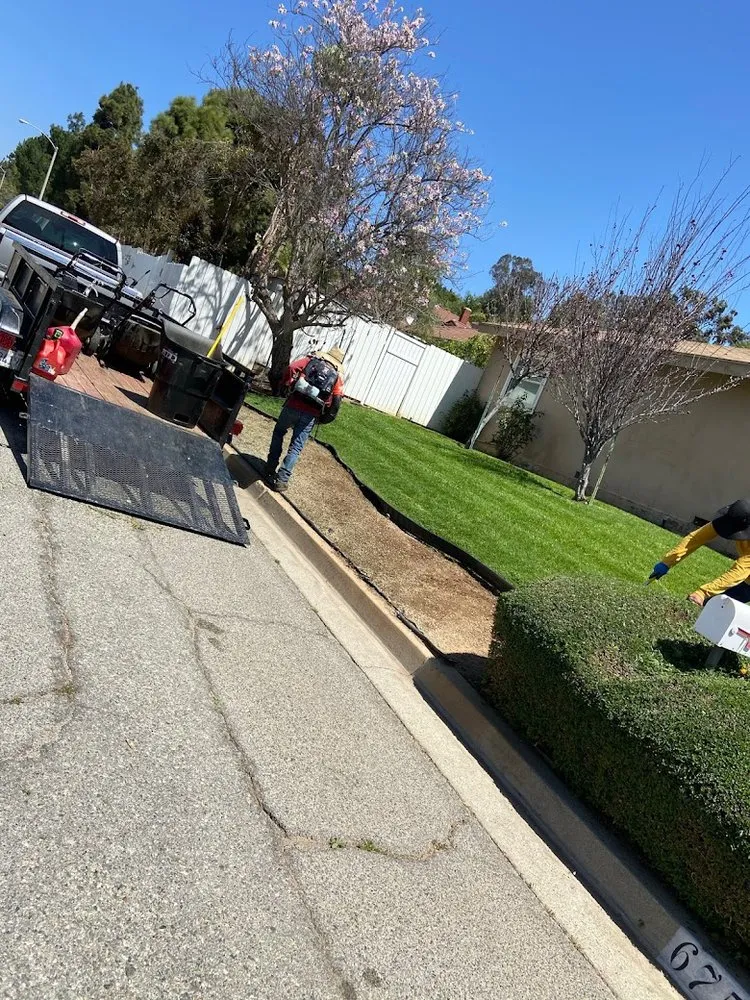 Local landscape design experts serving Riverside, CA - L&P Tree Service
