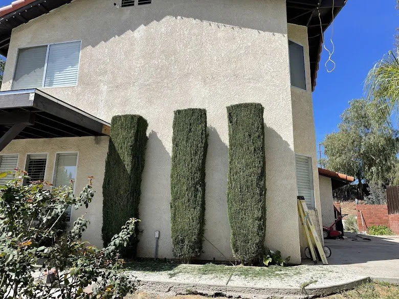 Top-rated outdoor landscaping in Riverside, CA by L&P Tree Service