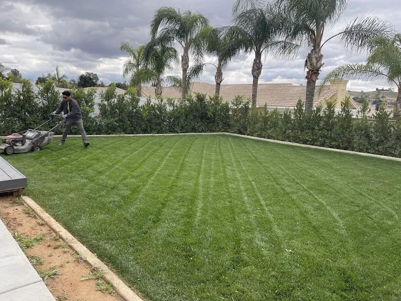 Custom outdoor landscaping near you in Riverside, CA by L&P Tree Service