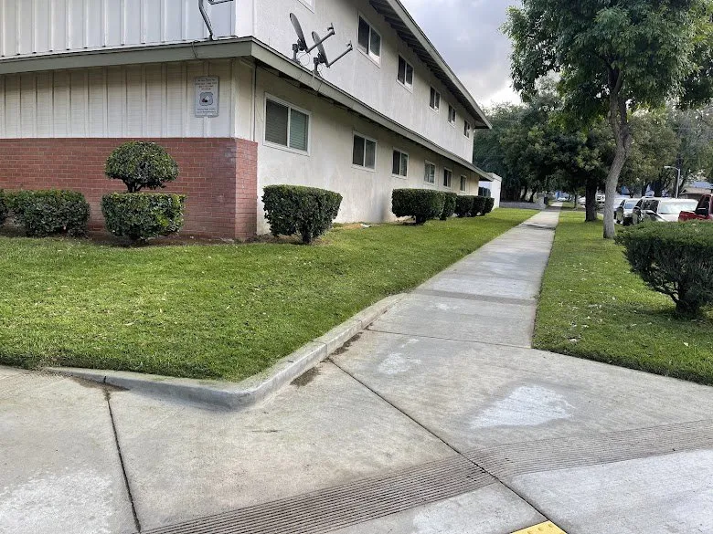 Reliable yard maintenance in Riverside, CA - L&P Tree Service