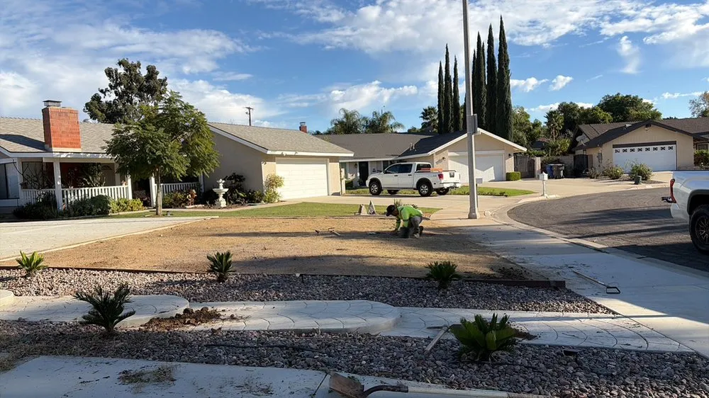 Expert yard cleanup service for beautiful yards in Riverside, CA by L&P Tree Service