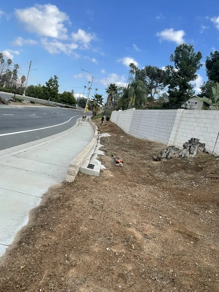 Top-rated landscaping services in Riverside, CA - L&P Tree Service