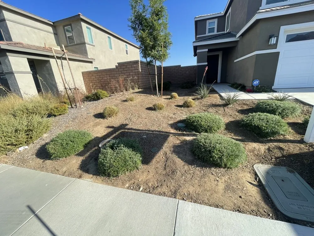 Top-rated landscape design in Riverside, CA - L&P Tree Service