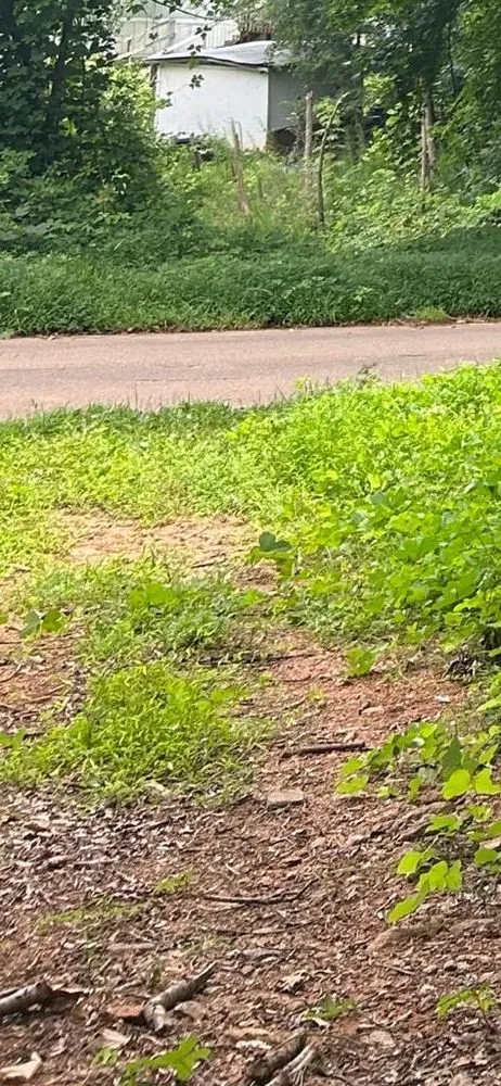 Professional yard cleanup service in Spartanburg, SC by LPA Grading&Landscaping