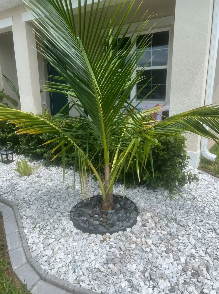 Local garden landscaping in St. Cloud, FL by LPC Landscape Design