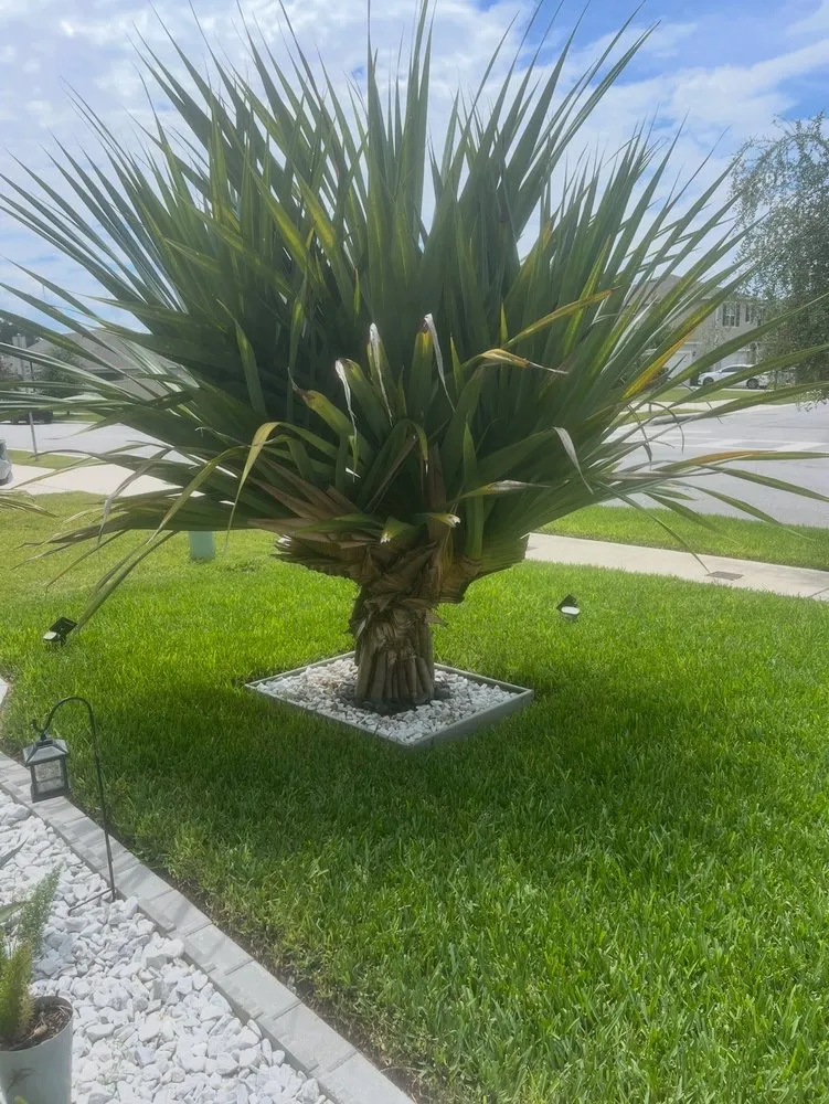 Professional garden landscaping in St. Cloud, FL - LPC Landscape Design