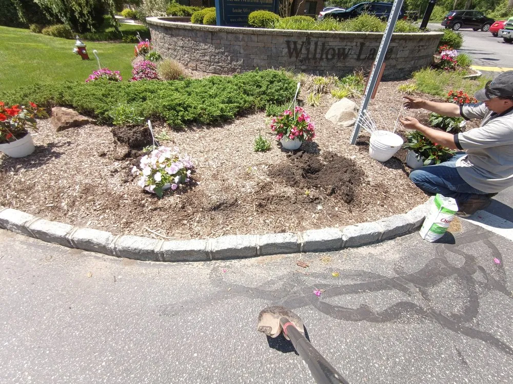 Affordable yard maintenance for outdoor upgrades across Brentwood, NY - López Landscaping Desing and Tree Service