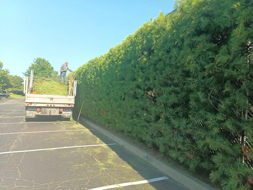 Expert garden landscaping in Brentwood, NY by López Landscaping Desing and Tree Service