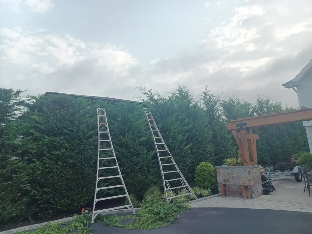 Top-rated yard maintenance in Brentwood, NY by López Landscaping Desing and Tree Service